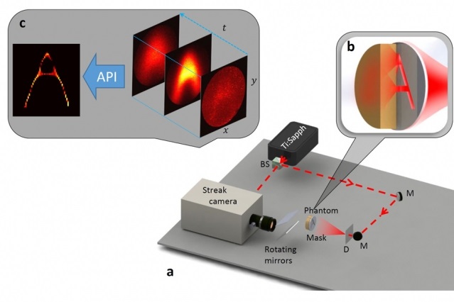 An illustration shows the researchers’ experimental setup