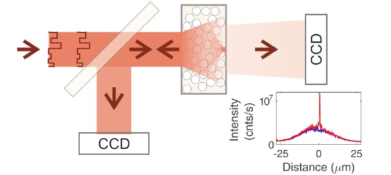 Experimental setup