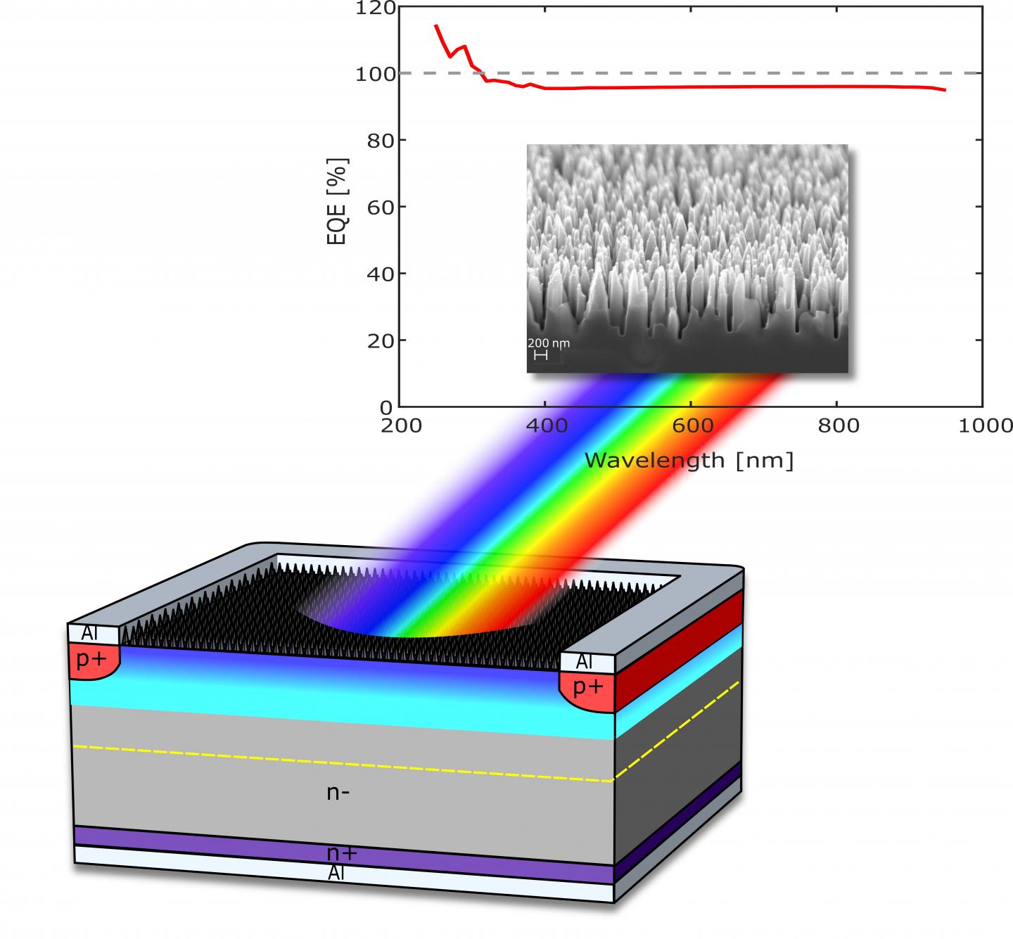 Structure and performance of the novel photodetector