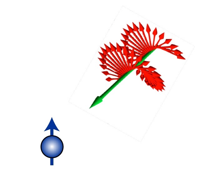 A circularly polarized light pulse triggers the initialization of the hole.