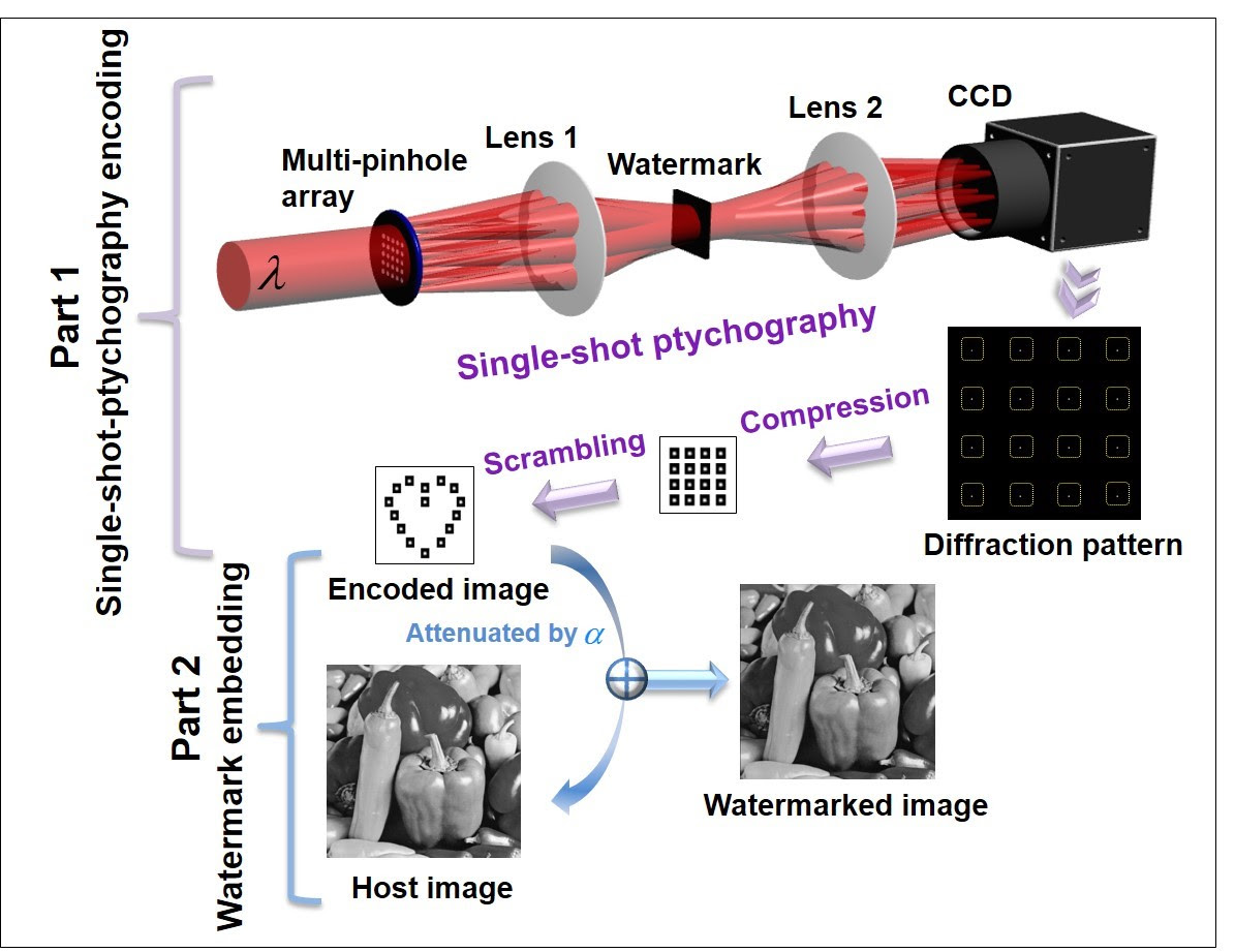 Optical watermarking