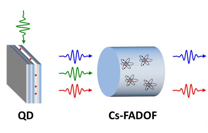 The quantum dot single-photon source is specially selected from an in-house grown sample to match exactly the resonance of atomic cesium vapor