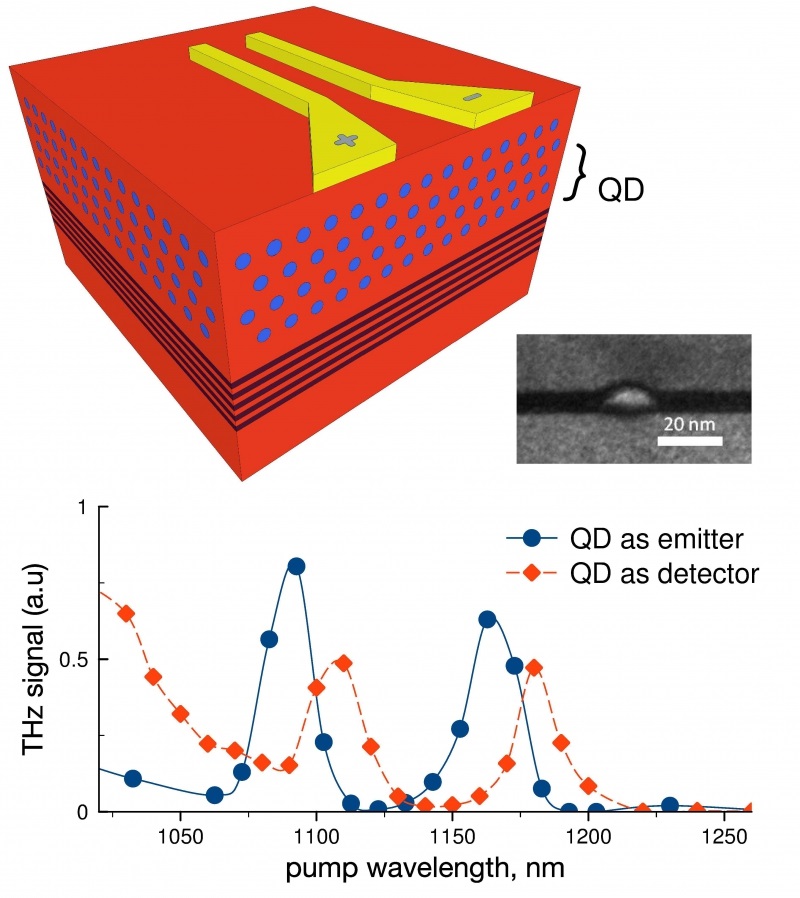 Quantum Dots Offer New Platform for Fingertip Terahertz Devices