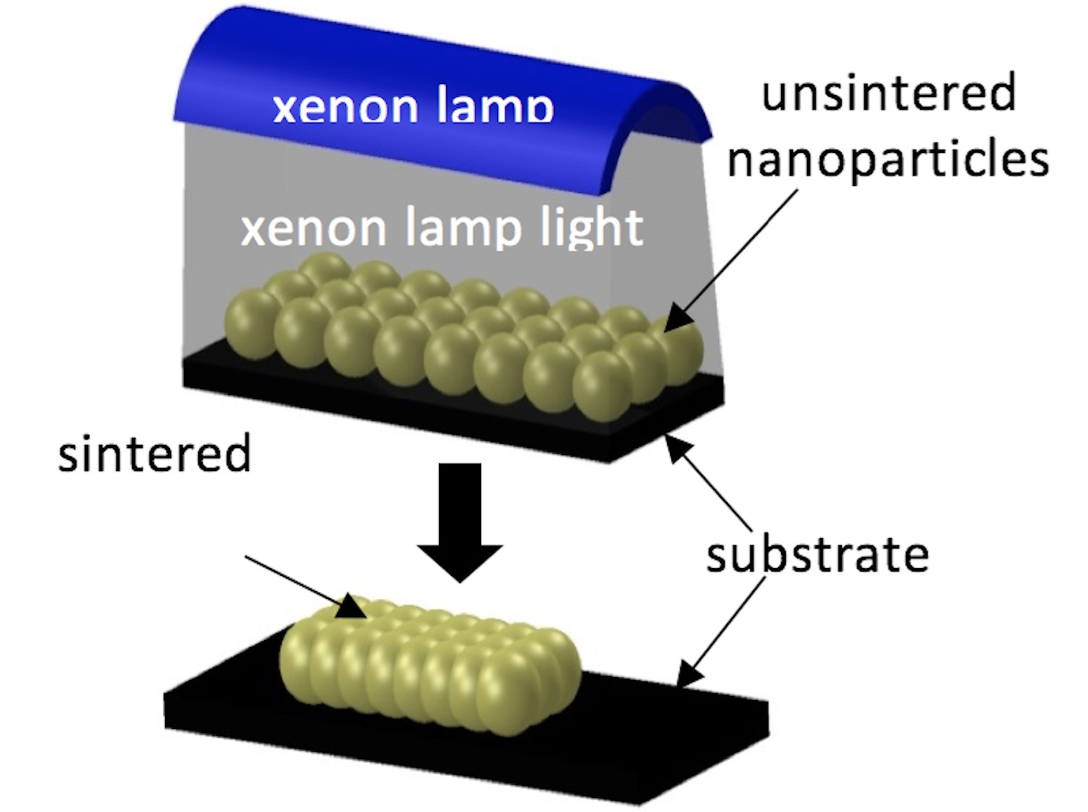 Sintering with intense pulsed light produces densification