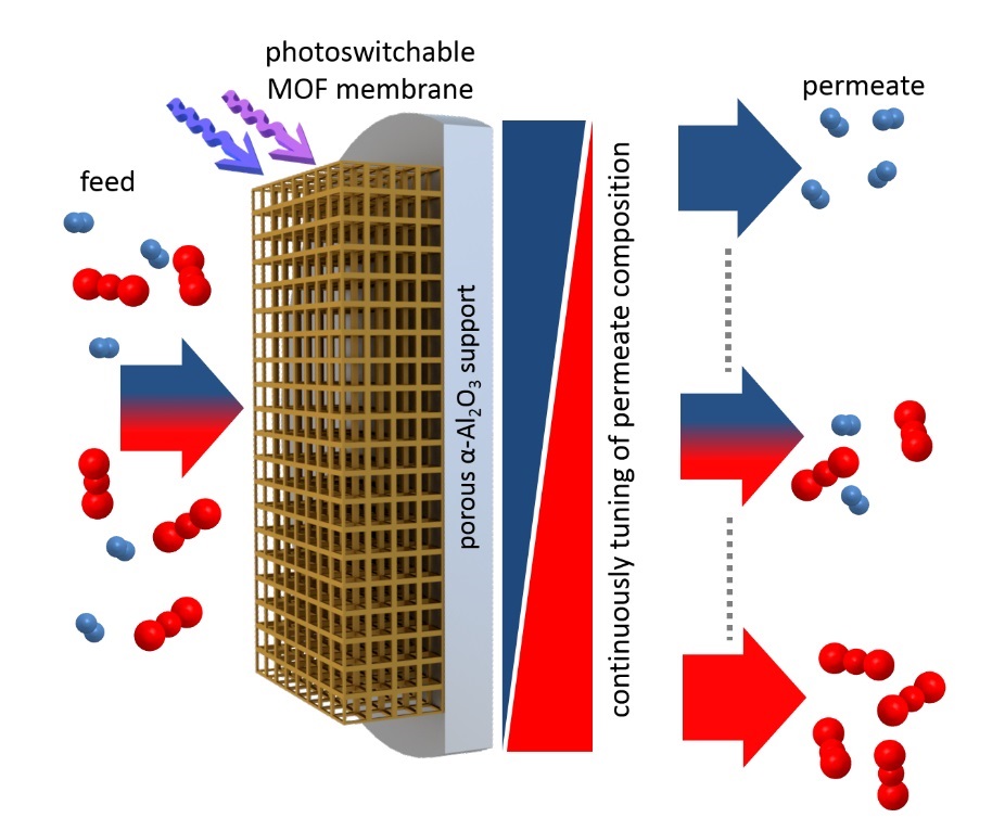 A MOF membrane with integrated photoswitches separates molecules