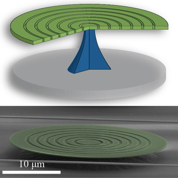 Silicon bullseye microdisk