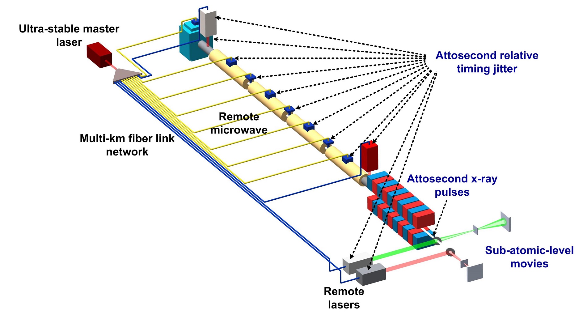 Schematic of the facility-wide synchronisation