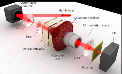 Experimental Setup