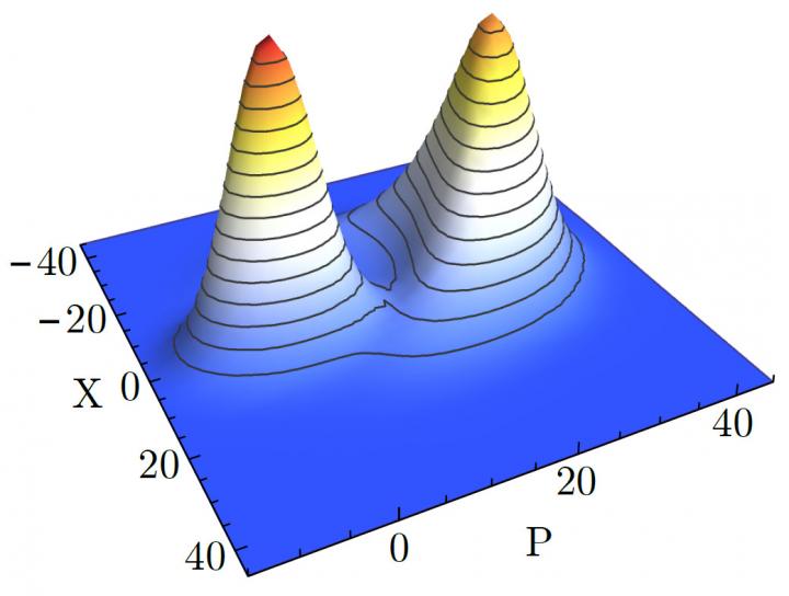 Probability Distribution