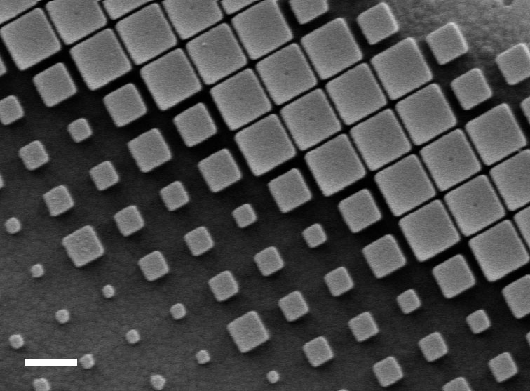 A scanning electron microscope image show metalens nanopillars optimized to focus colors without chromatic dispersion