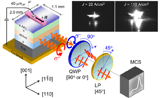 Surprising spin behavior at room temperature