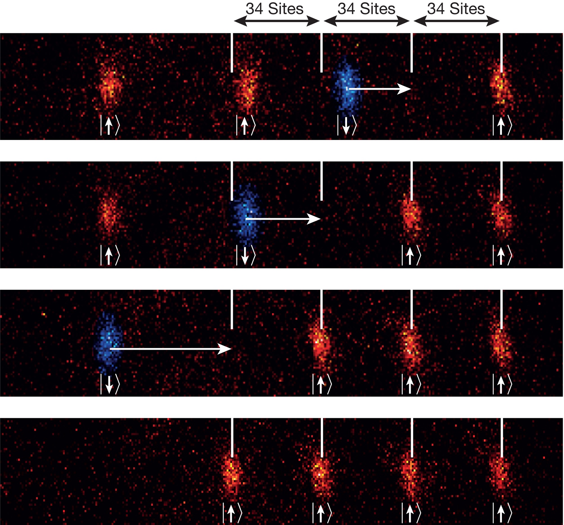 The spin of the blue atoms