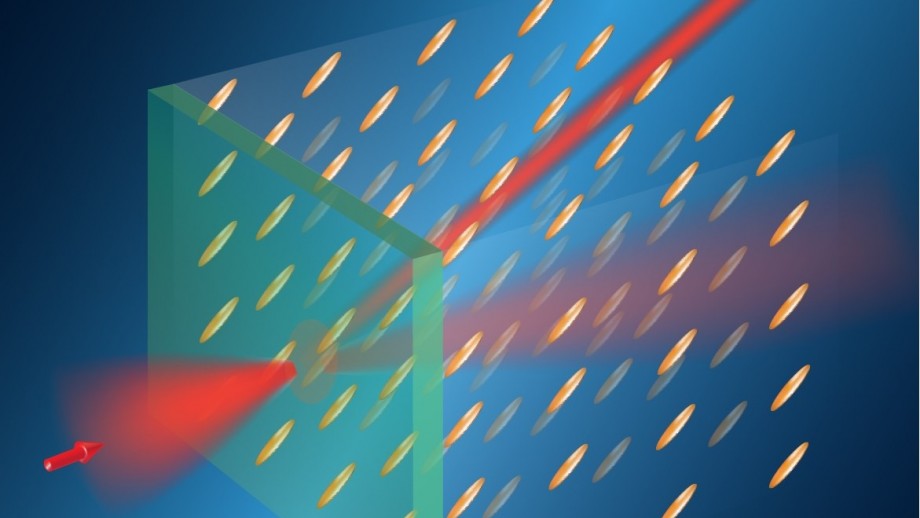 Routing of light in a liquid crystal by a magnetic field