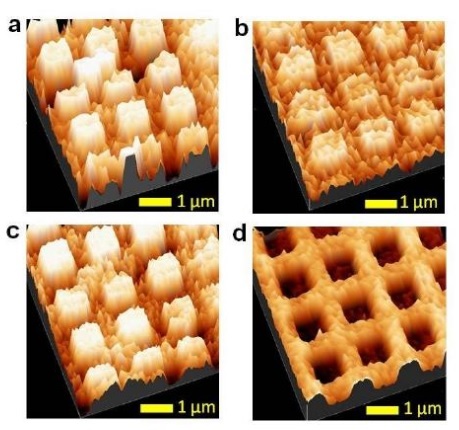 Topography and magnetic phase MFM images of a molecular induced magnetization orientation.