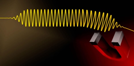 Photons are usually insensitive to magnetic fields