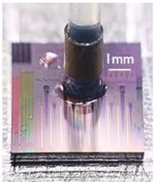 Photograph of the PROFA attached to the GeSi SDM transceiver chip