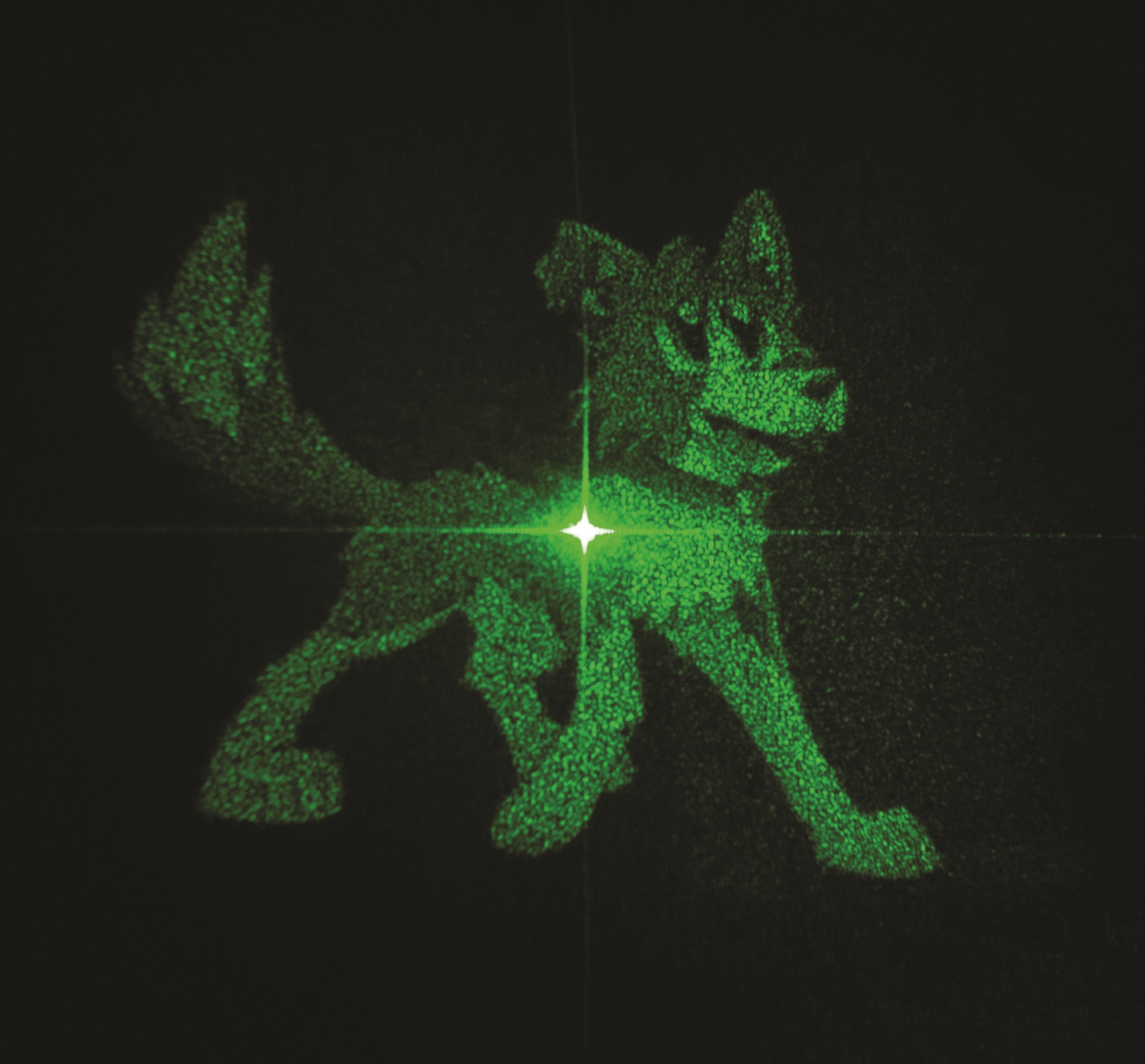 This hologram is one of two different holographic images encoded in a metasurface that can be unlocked separately with differently polarized light