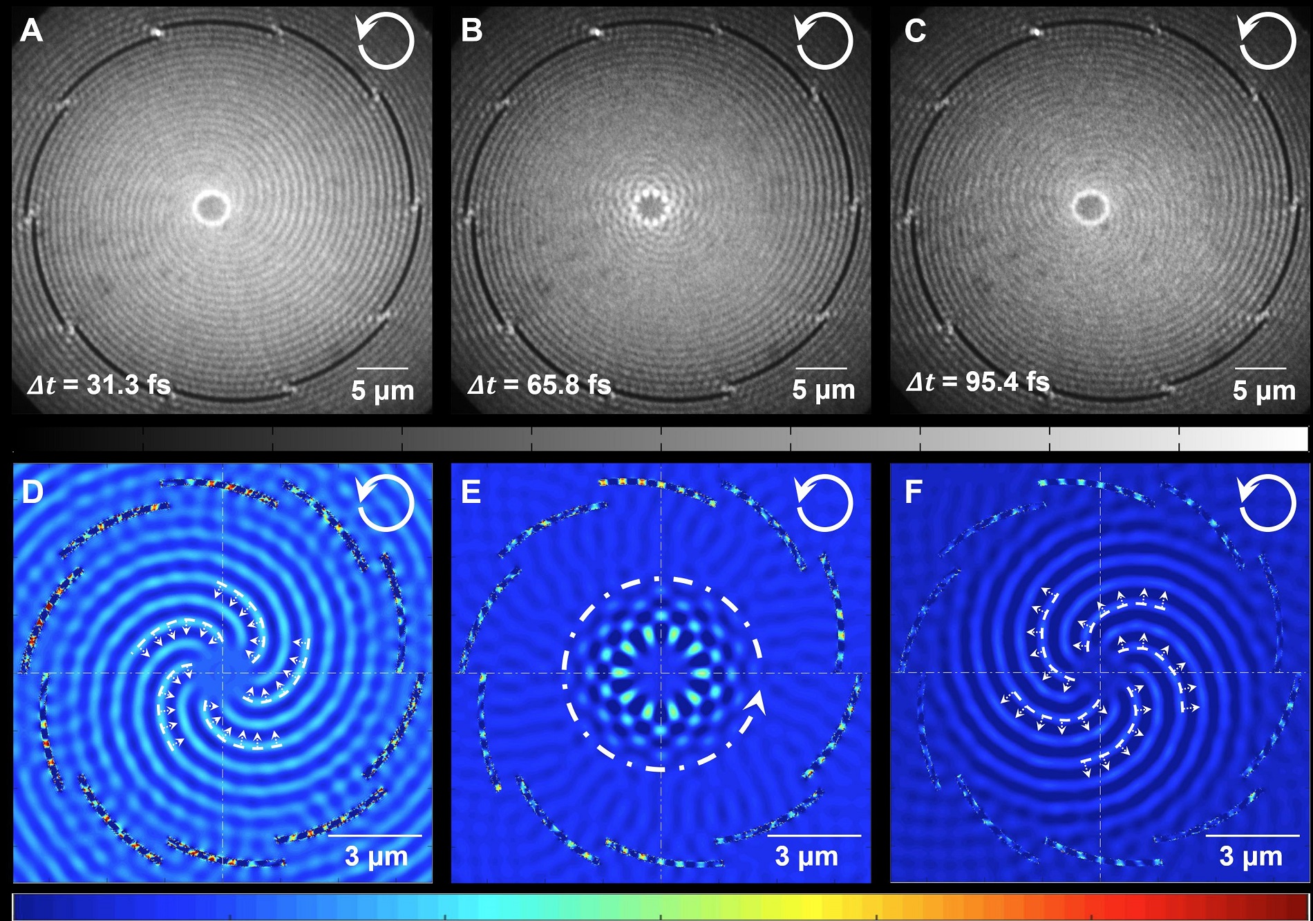 Description of the formation of the plasmonic vortex