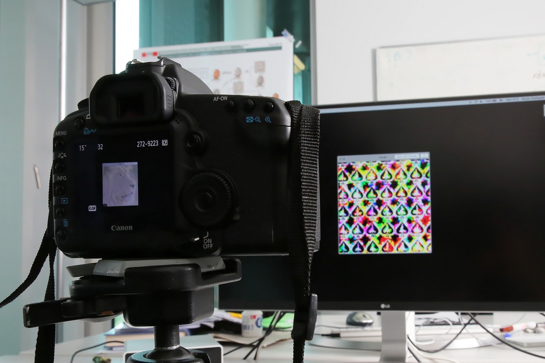 EPFL researchers took advantage of the limits of human vision to hide an image in a video