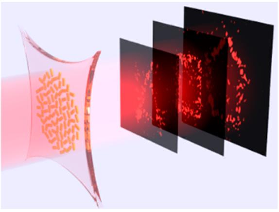 Holograms made with stretchy materials could lend themselves to animation