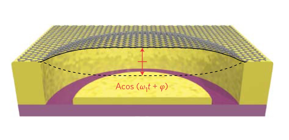 Schematic cross-section of a graphene drum