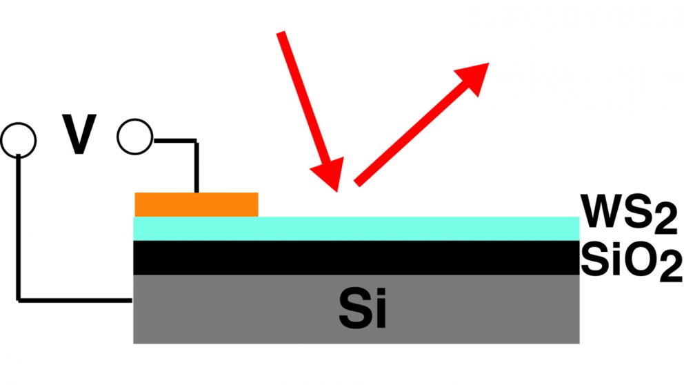 Researchers develop technique to electrically manipulate light through interaction with an atomically thin semiconductor.