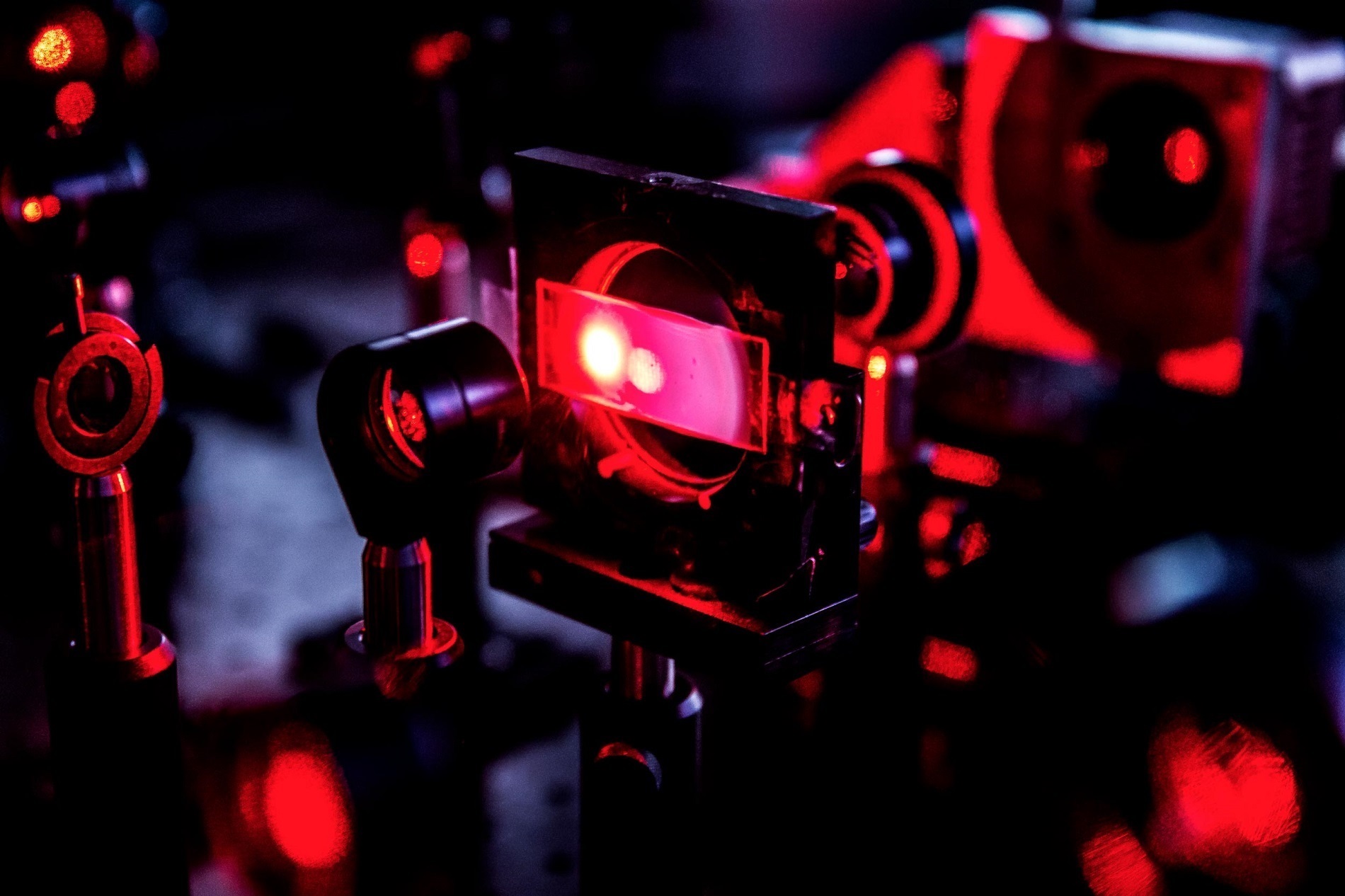 A patterned spot of laser light appears on the slide filled with yogurt