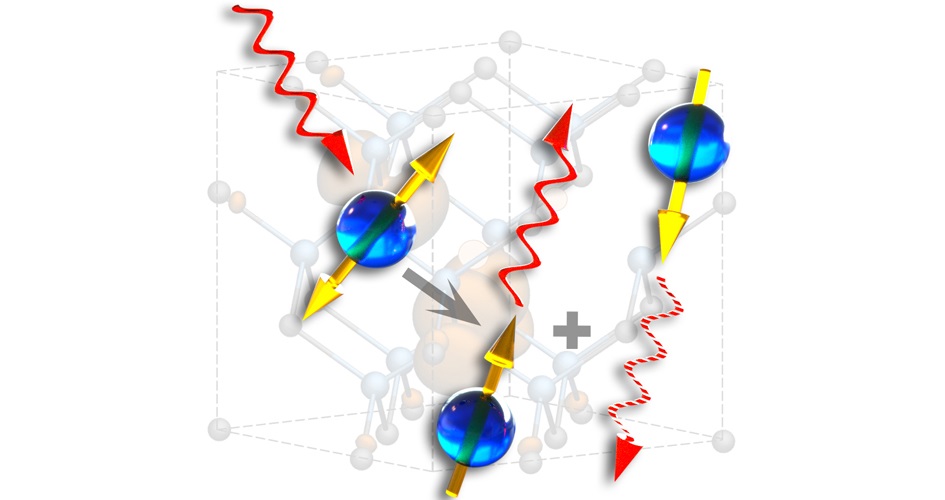 Single spins in silicon carbide absorb and emit single photons based on the state of their spin