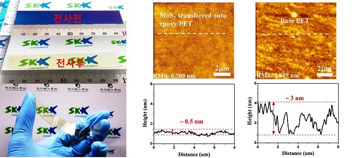 2D semiconductor before and after transfer