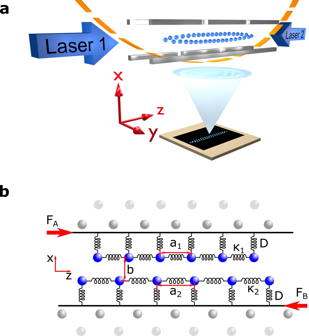 Schematic representation of the experiment