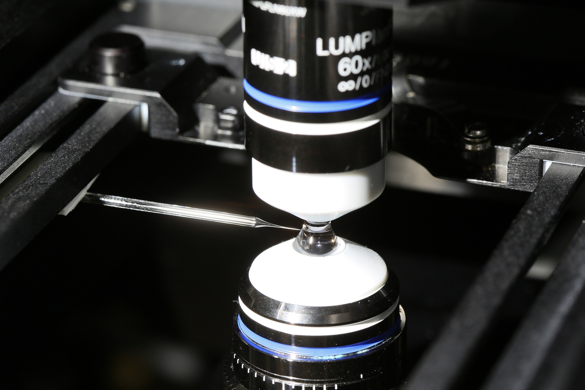 3D imaging of surface chemistry in confinement