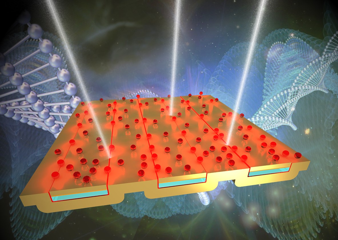 The image above depicts a new device for surface enhanced infrared absorption spectroscopy.