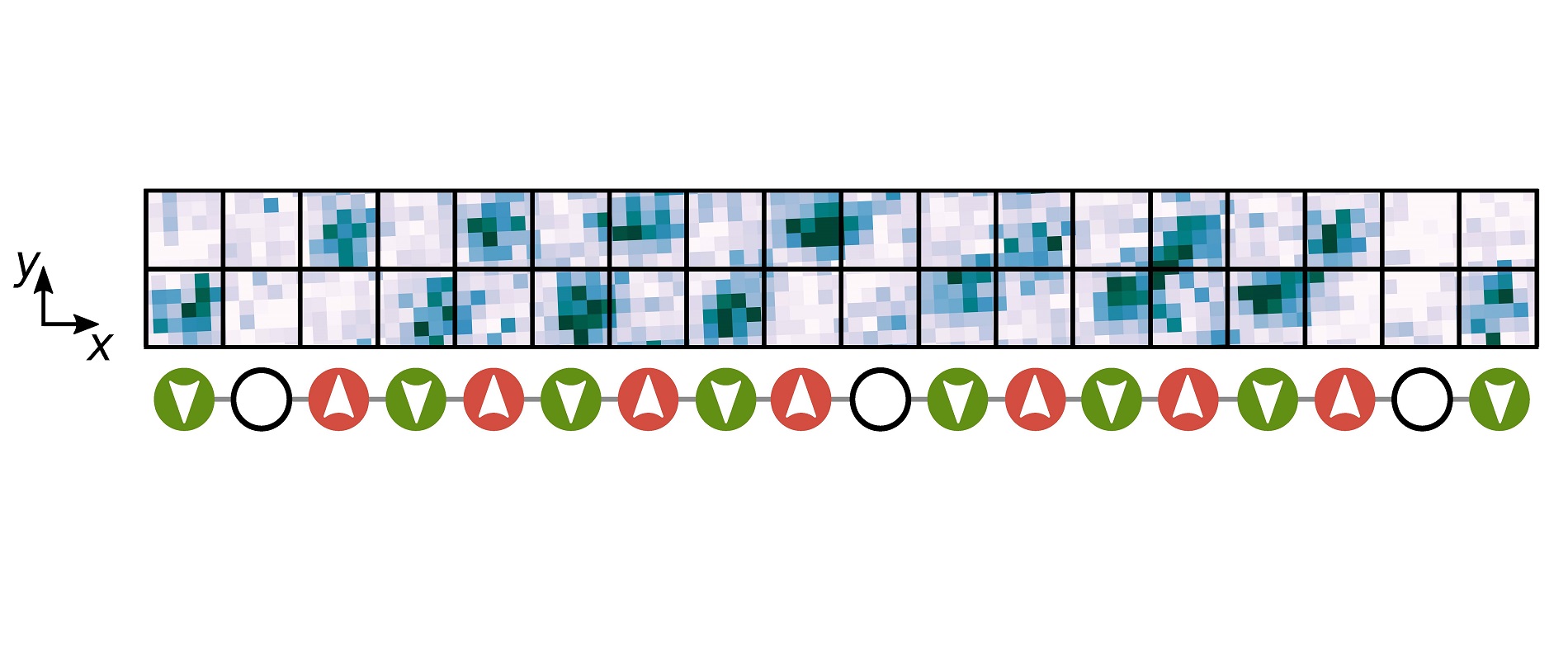 Image of a chain of atoms taken with the quantum gas microscope