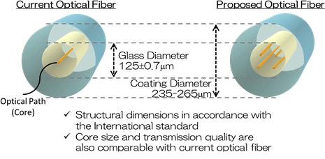 Features of the proposed multi-core fiber