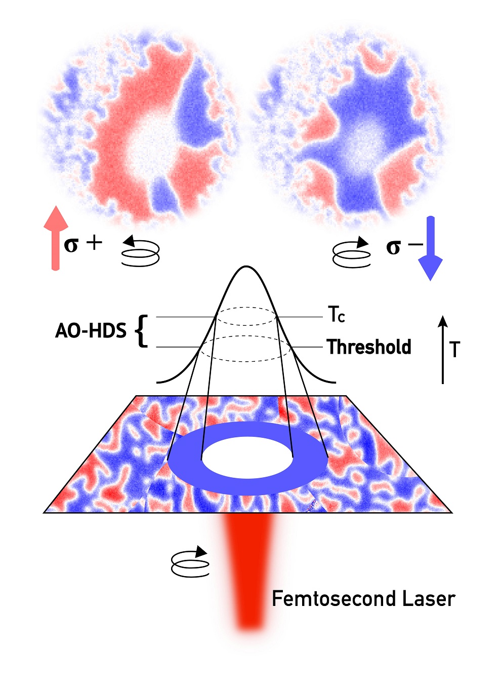 Laser pulse trains above threshold at opposite helicities showing AO-HDS and schematic showing laser profile and AO-HDS