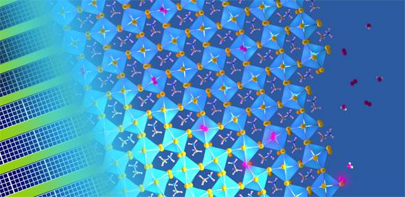 The concoction of light with water and oxygen molecules leads to substantial defect-healing in metal halide perovskite semiconductors