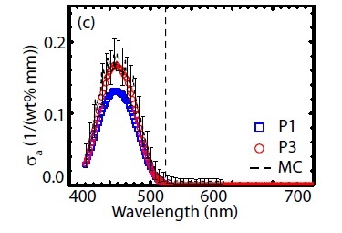 Tracing the light inside LEDs