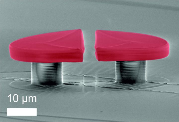 Scanning electron micrograph of a polymeric WGM split-disk cavity