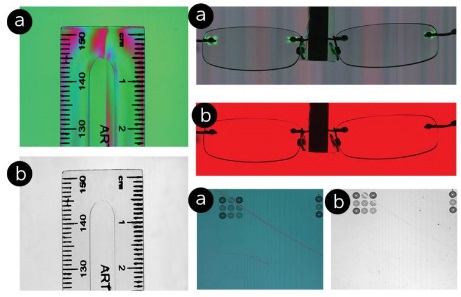 Polarization samples