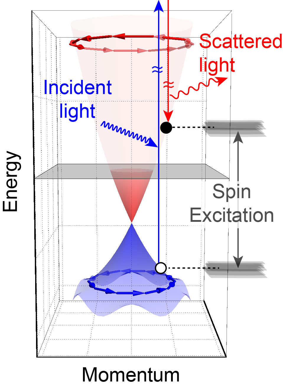 The blue and red cones show the energy and momentum of surface electrons in a 3D topological insulator