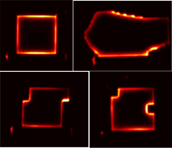 Laser cavities take on new shapes and functionalities