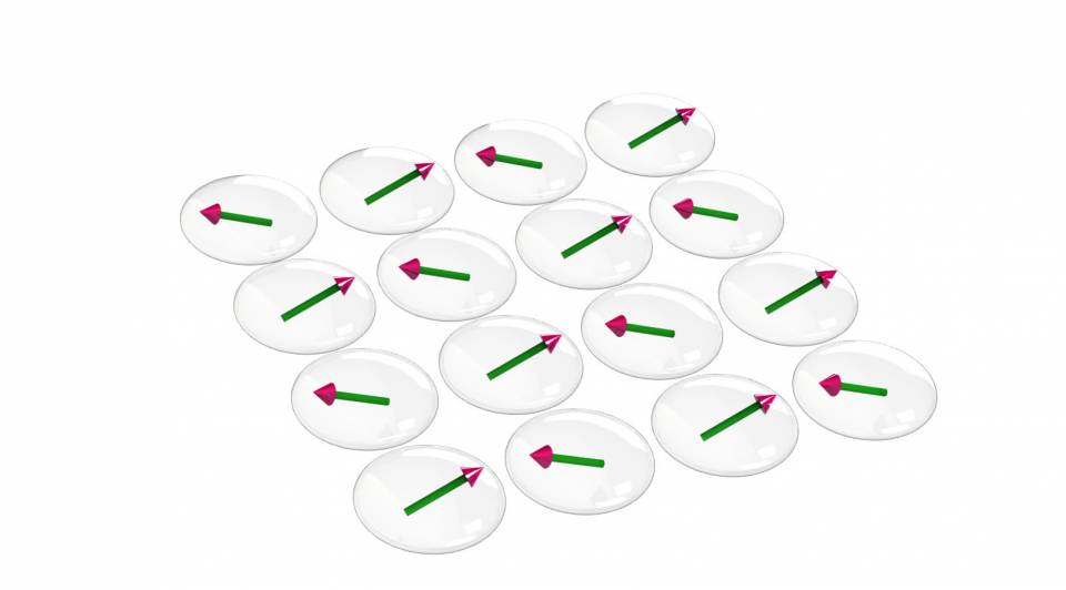 A team led by Princeton University researchers manipulated the spin direction of individual atoms at very low temperatures using strong magnetic fields