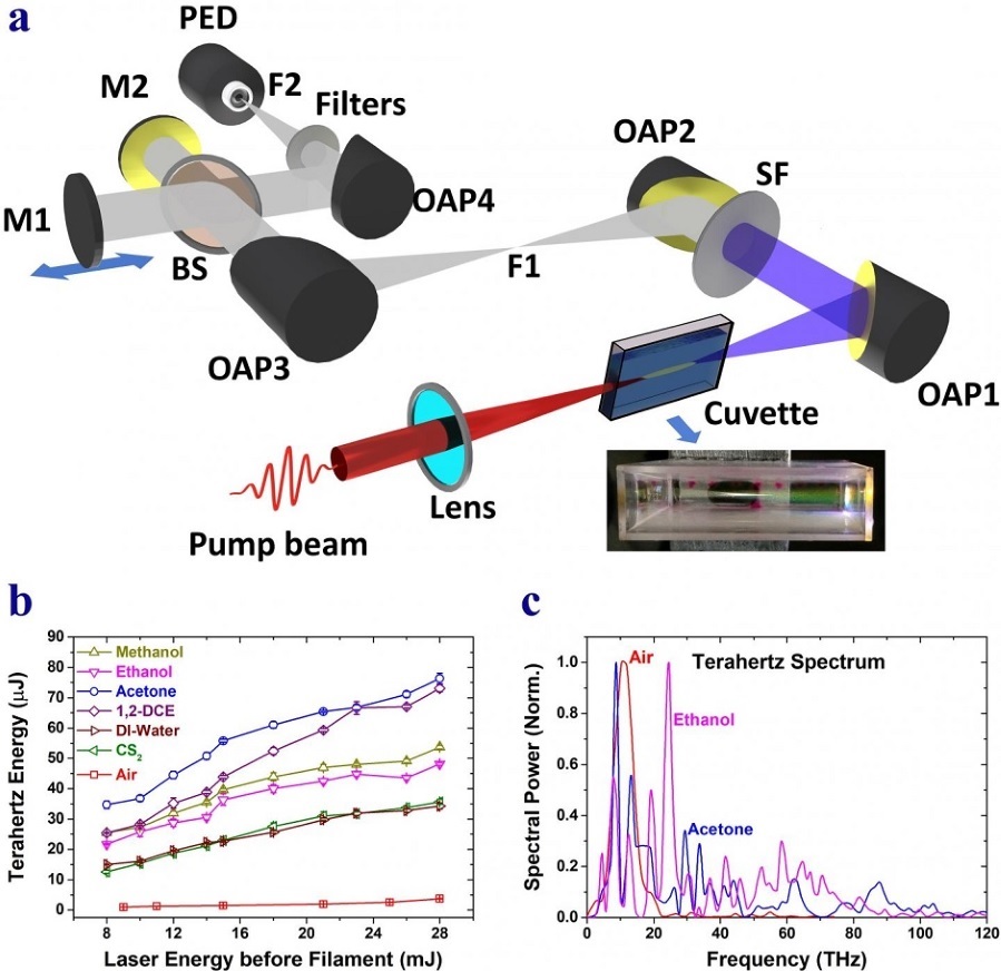 Table Top Liquid Terahertz Source at the Tata Institute of Fundamental Research, Mumbai