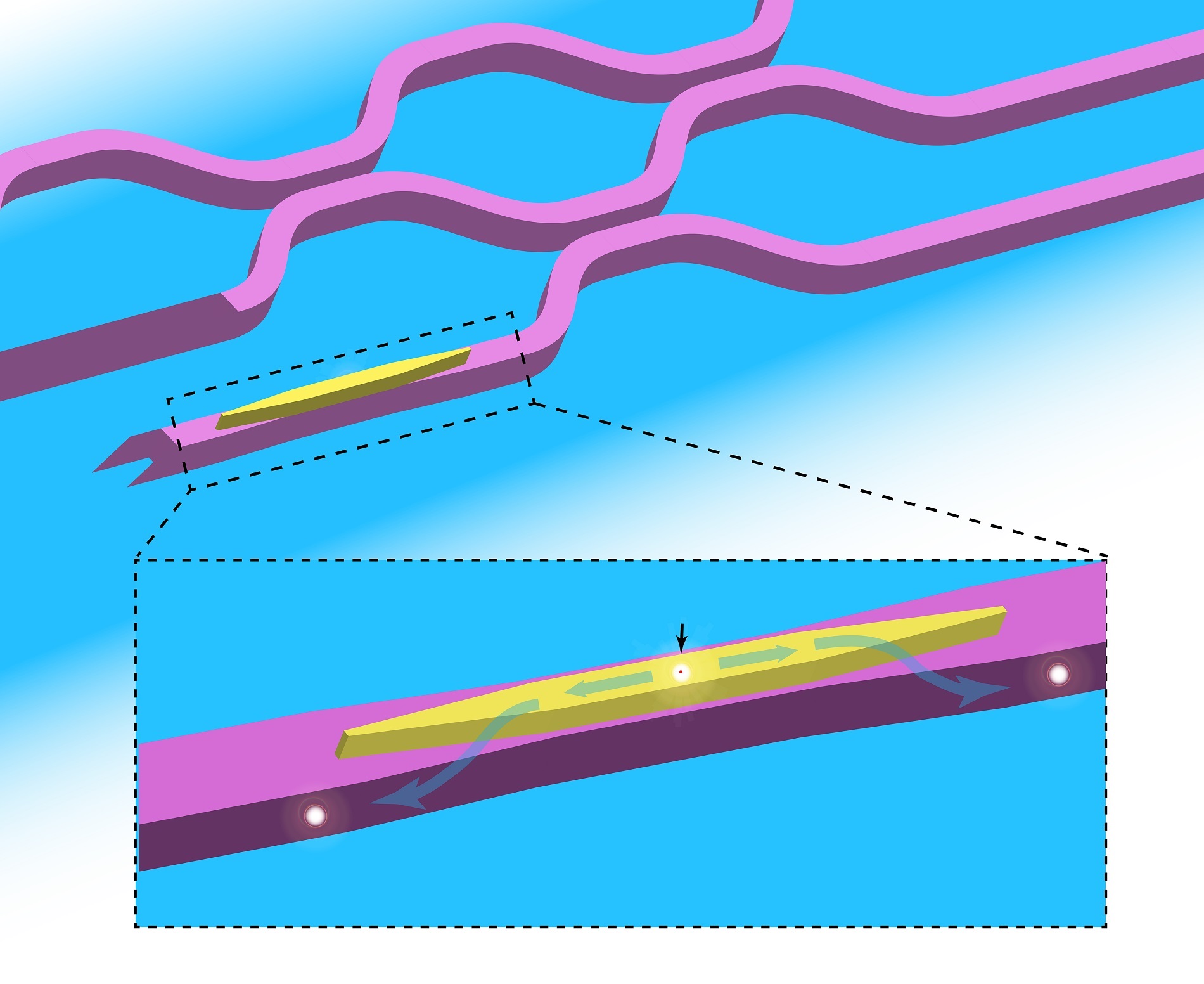 The architecture of this hybrid quantum photonic circuit is among the first to combine on a single chip a reliable generator of individual photons