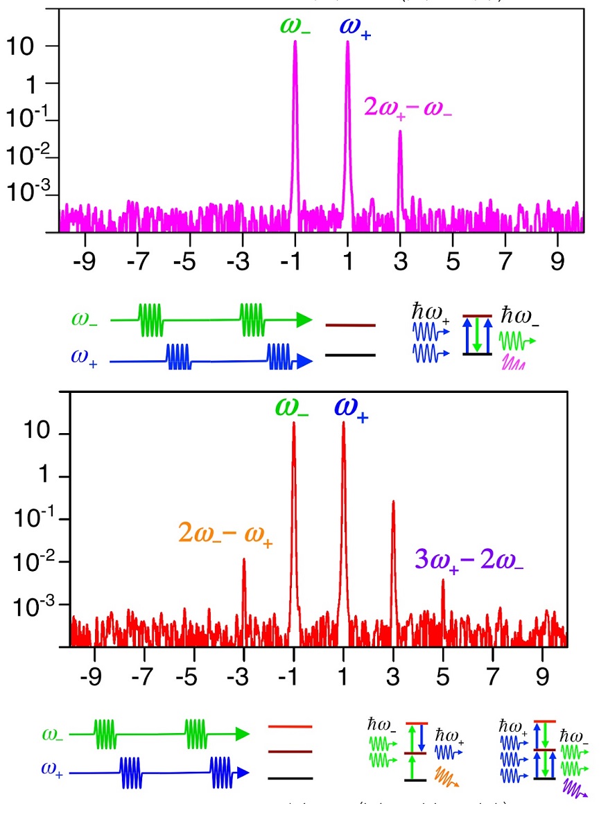 The graph above shows the results of the experiment