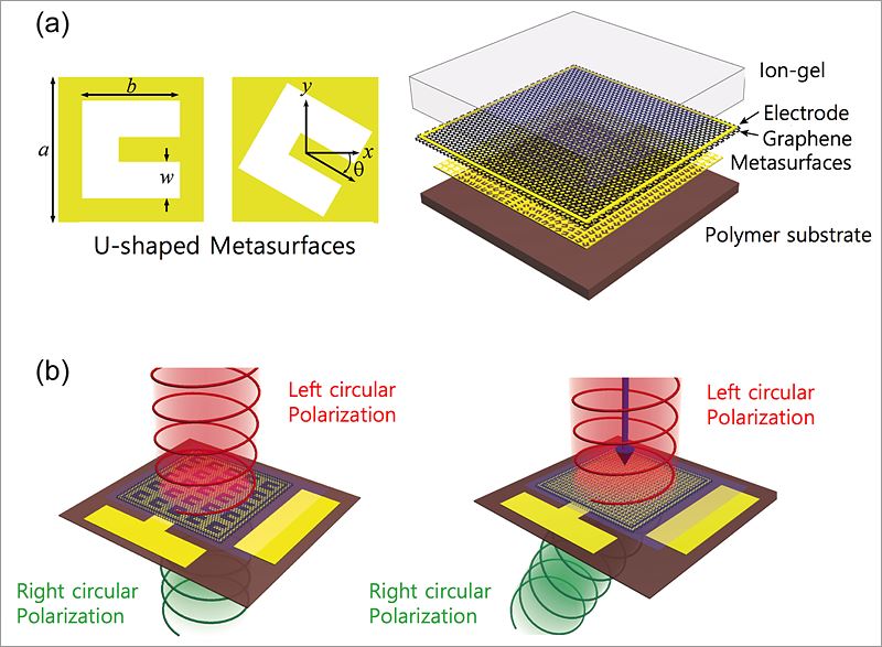 The metalenses are made with an atom-thick graphene sheet and a gold thin surface with tiny U-shaped holes