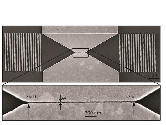 Fabricated structure. Images taken by scanning electron microscopy