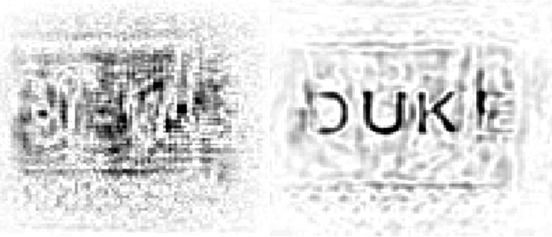 A view of a microwave scan of the Duke logo taken through a wall before and after distortions have been removed.