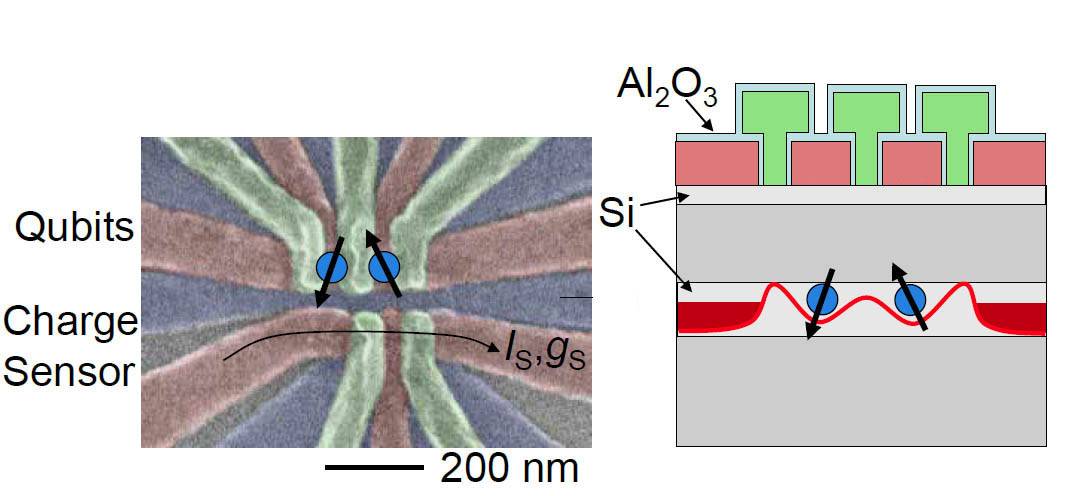 The two-qubit silicon-based gate consists of two electrons