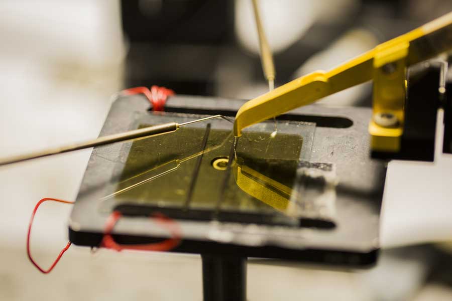 An organic solar cell testing inside the Randall Lab